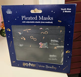 Harry Potter Youth Pleated Mask Hogwarts 2Pack