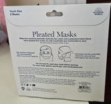 Youth Pleated Mask 2 pack Gryffindor