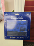 Youth Pleated Mask 2 Pack Ravenclaw