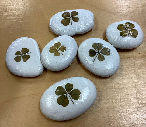 FOUR LEAF CLOVER ROCKS BY KEVIN
