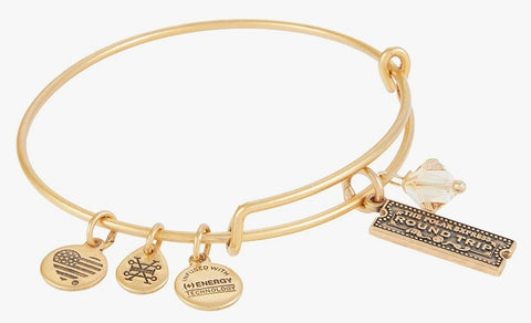 Alex & Ani Polar Express Train Ticket Duo RG (gold)