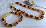Amber Auksas - Raw Multi Baltic Amber Bracelet w/ Tag & Certificate ♥️ GIA: Four & a half inches