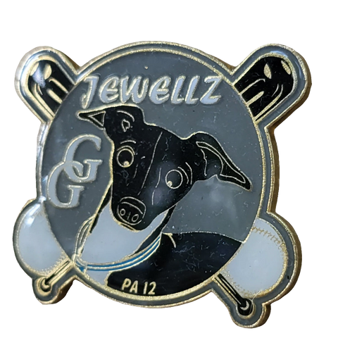 Jewellz Little League Pin Gray 2022
