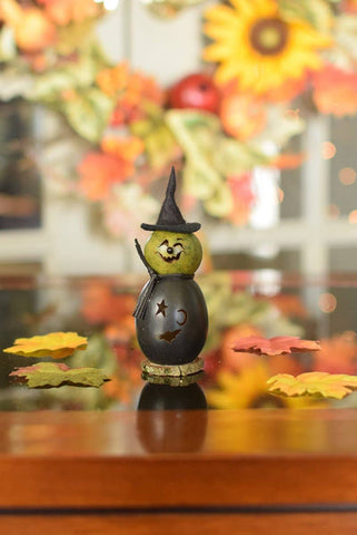 Meadowbrooke Gourds - Lil Fiona Witch Gourd