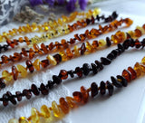 Amber Auksas - Polished Cognac Baltic Amber Bracelet w/ Tag Cert GIA: Four & a half inches