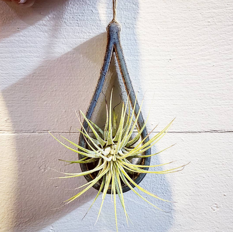 Mud & Maker - Air Plant Holder - TEARDROP