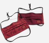 Youth Pleated Mask 2 pack Gryffindor