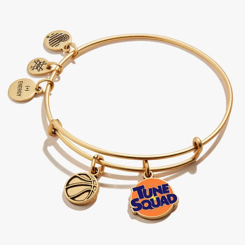 Alex and Ani Space Jam Tune Squad Duo Charm EWB RG