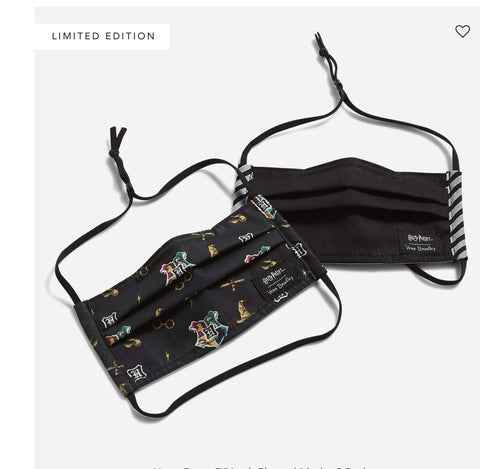 Harry Potter Youth Pleated Mask Hogwarts 2Pack