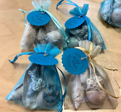 Bags of Shells by Lisa