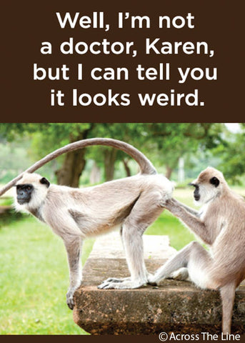 Ephemera - Magnet: Well, I'm not a doctor, Karen,