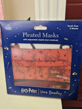 Youth Pleated Mask 2 pack Gryffindor