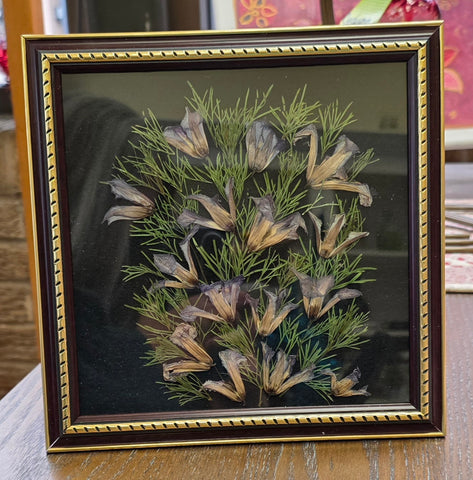Pressed Purple Flowers Small Iris by Local Artist Cecelia