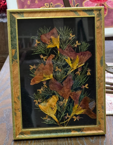 Pressed Flowers by local artist Cecelia