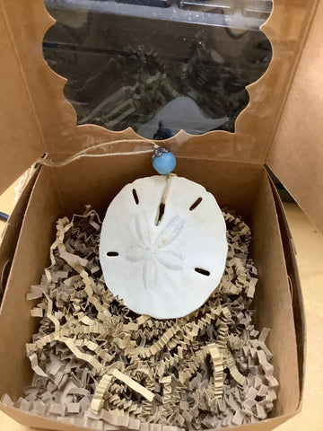 Sand Dollar by Local Artist Lisa Y
