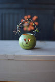 Meadowbrooke Gourds - Party Treat - Frank Basket