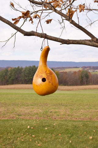 Meadowbrooke Gourds - Cabin Gourd Birdhouse - Yellow