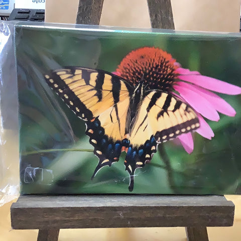 Butterfly on flower on easel