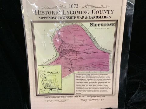 1873 Historic Map of Nippenose Township by Elaine