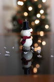 Meadowbrooke Gourds - Lil Flake