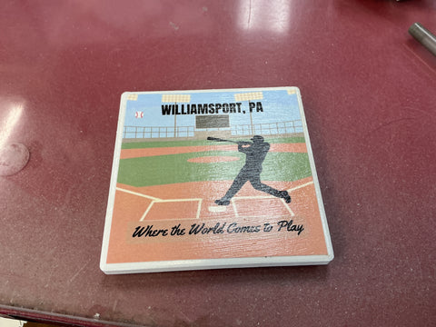 Williamsport Pa. Where Champions Come To Play