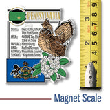 7 Star - Pennsylvania State Montage Magnet, Made in USA  : Classic Circular