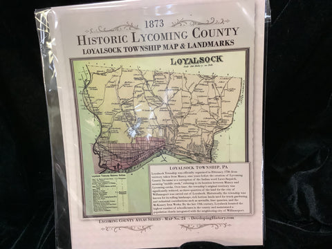 1873 Historic Map of Loyalsock Township by Elaine