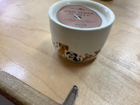 Secret Message Candle Natural Life Scent Mango