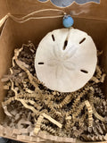 Sand Dollar by Local Artist Lisa Y