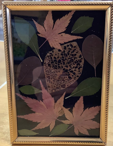 3 1/2”x 5” Framed Dried Leaves by Cecelia