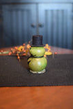 Meadowbrooke Gourds - Tiny Fall Friends - Frank