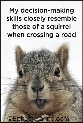 Ephemera - Magnet: My decision-making skills closely resemble