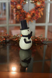 Meadowbrooke Gourds - Maverick Mummy Gourd