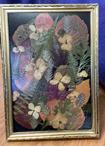 Framed Pressed Flower Arrangement by Cecelia. 5”x7”