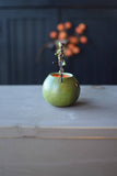 Meadowbrooke Gourds - Party Treat - Frank Basket