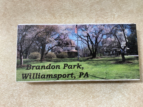 Brandon Park Trees in Bloom Round Gazebo Magnet by Local Artist Elaine