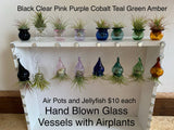 Terrapin Glass Gardens - Glass jellyfish vessels with live air plants: orange/ Jellyfish