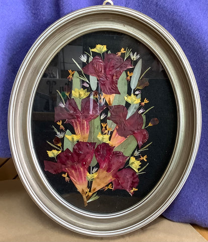 Oval Framed Dried Flower Arrangement 11 1/2 by 9 1/2 by Cecelia