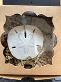 Sand Dollar by Local Artist Lisa Y