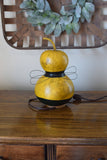 Meadowbrooke Gourds - Bumble Bee - Medium Lit
