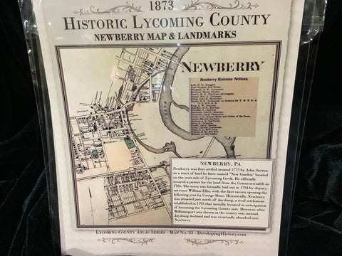 1873 Historic Map of Newberry by Elaine