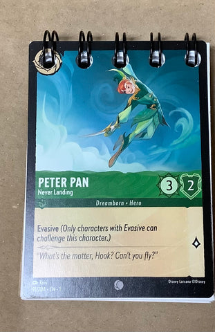 Mini Notebook….Peter Pan, Never Landing