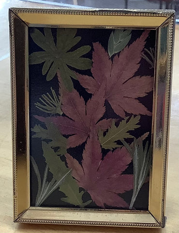 2 1/2”x3 1/2” Framed Dried Leaves by Cecelia