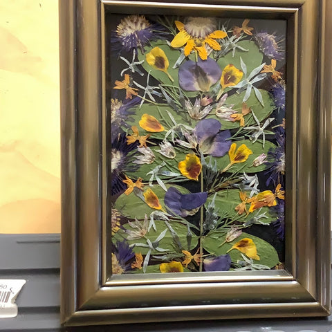 5 1/2x 7 Framed Dried Flowers by Cecelia.