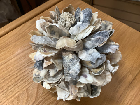 6” Oyster Ball with Coral by Lisa