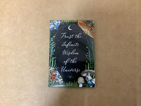 Magnet…Trust the Infinite Wisdom of the Universe