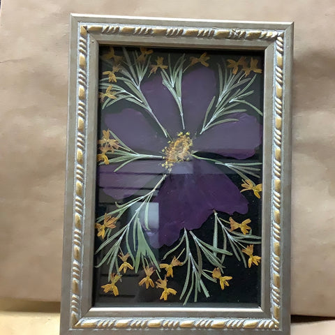 6 3/4 x 43/4 Framed Dried Flowers by Cecelia