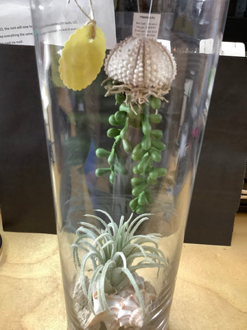 Vase with Air Plant by Lisa Y.