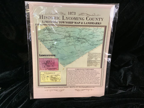 1873 Historic Map of Limestone Township by Elaine