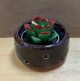 Succulent Candle Holder by Sabrina